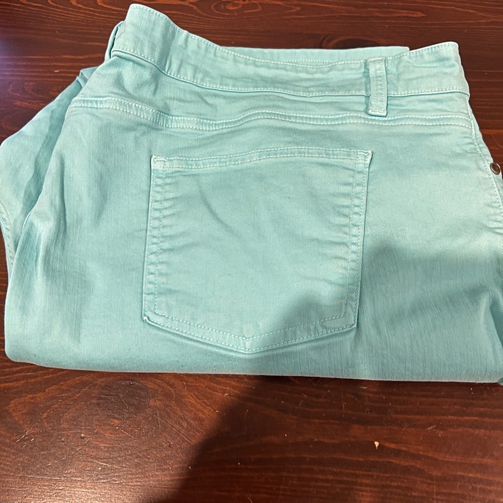 Eileen Fisher aqua ankle length pants.
